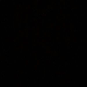 Meet your Posher, Tyrek